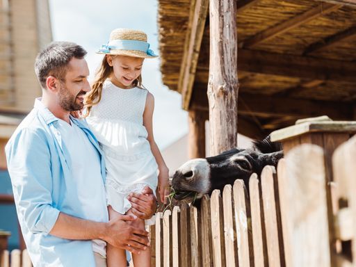 3 Tage Familienurlaub im Taunus-Gebirge & am Wochenende im herzlichen 3* Hotel Concorde übernachten