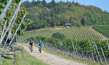Radeln im Dreiländereck