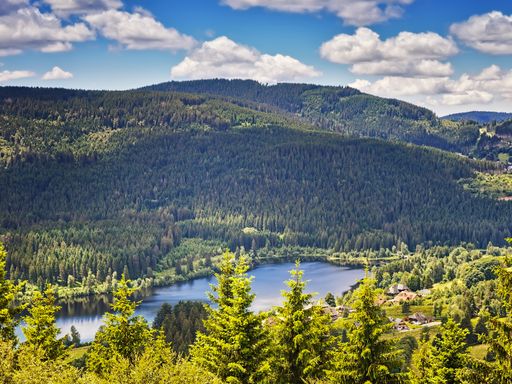 4 Tage Aktiv- und Erholungsurlaub im Schwarzwald erleben & im Hotel Gasthof zum Rössle in Hüfingen entspannen