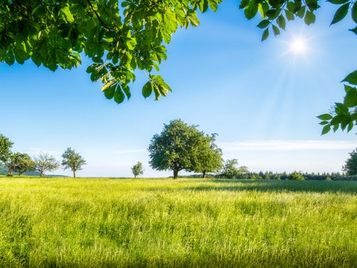 3 Tage das idyllische Ostfriesland und das Ammerland erkunden