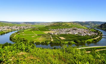 4 Tage Single-Kurzurlaub in Leiwen an der Mosel & im 4* Eurostrand Resort Moseltal inkl. Wellness erholen