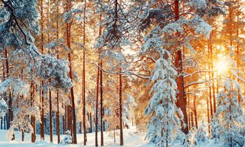 3 Tage Winter Special Mecklenburgische Seenplatte