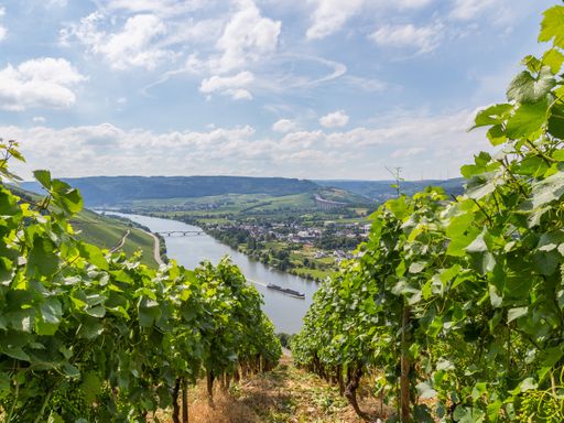 6 Tage Wandern, Wellness und Weinberge bei einer Reise an die Mosel erleben