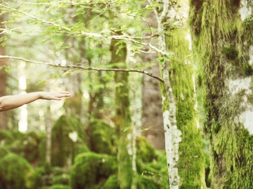 8 Tage bei einer Reise an die Mosel im Hotel Lellmann bei Wein und Wandern die Seele baumeln lassen