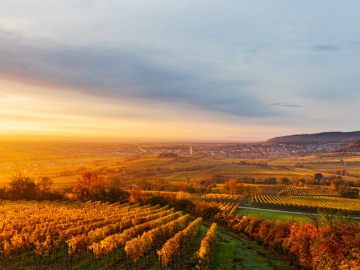 4 Tage Romantikurlaub an der Pfälzer Weinstraße & im 4* Hotel in Bad Dürkheim erholen