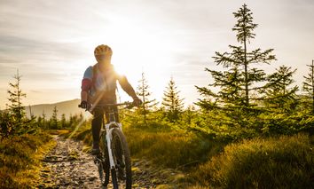 Zwieseler Winkel - Radl-Mekka im Bayrischen Wald/ 3T.
