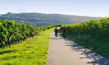 4 Tage Wochenendtrip nach Alzenau & die Wälder und Weinberge der Unterfranken genießen