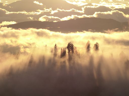 4 Tage Erholungsurlaub im Biolandhaus Arche in Eberstein & die Naturidylle Mittelkärnten's entdecken