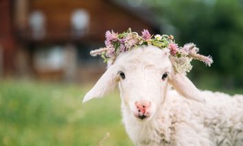 Harzer Osterkurztrip