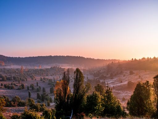 4 Tage Kurztrip ins 4* Eurostrand Resort Lüneburger Heide inkl. Natur- und Wellnessauszeit