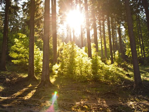 4 Tage Kurzurlaub mit der ganzen Familie & ein Wochenende in Bad Soden im Taunus genießen