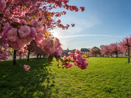 3 Tage Kurzurlaub in Leipzig für die ganze Familie inkl. Zooeintritt