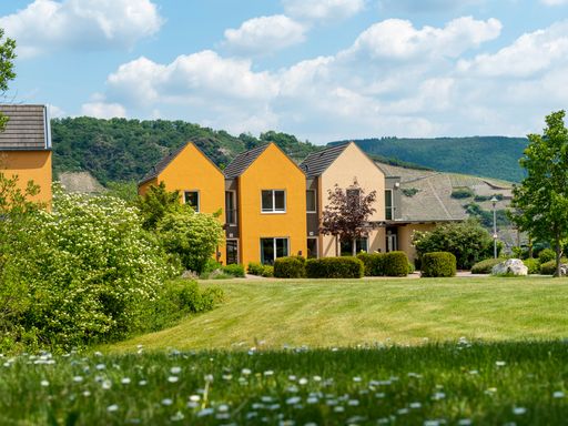 3 Tage Kurzurlaub für Alleinreisende an der Mosel im 4* Eurostrand Resort Moseltal: Kultur, Kulinarische Vielfalt und ganz viel Natur