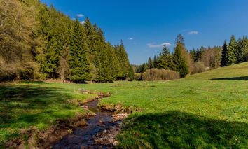 3 Tage für Kurzentschlossene-Ihr Kurzurlaub inkl. HP+