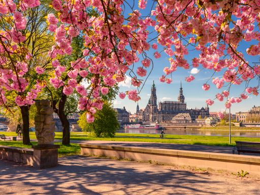 3 Tage Städtetrip inkl. Dresden Card: Kultur und Geschichte hautnah im Herzen von Dresden erleben