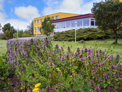 5 Tage Harz-Schnäppchen inkl. Halbpension plus