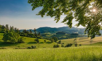 7 Tage Urlaub im Geo-Naturpark Bergstarße-Odenwald im 3* Hotel mitten im Grünen
