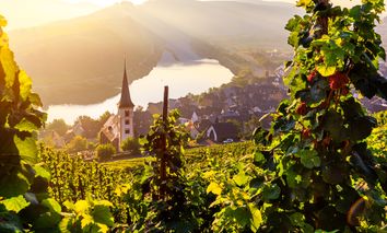 4 Tage in der Eifel verwöhnen lassen im Hotel Lellmann direkt an der Mosel