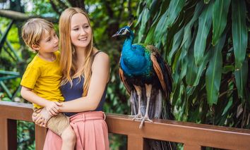 2 Tage Familienerlebnis inkl. Familien-Zooticket in Leipzig erleben