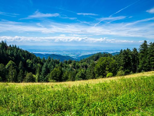 3 Tage Auszeit in Hartheim: Entspannung im Landhotel Bohrerhof im Markgräflerland