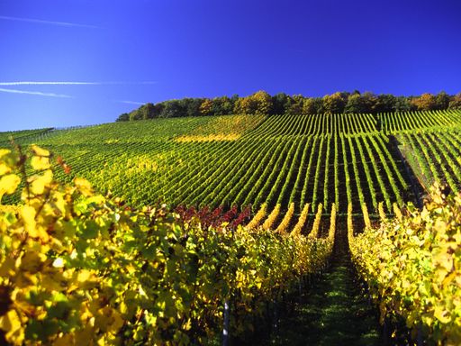 8 Tage Urlaub zwischen Wäldern & Weinbergen im fränkischen Vorspessart