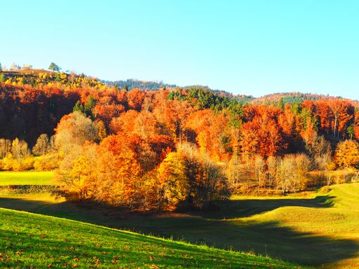 4 Tage Kurzurlaub in Bad Schönborn und beim Wandern & Wellness im Palmenparadies die Auszeit genießen