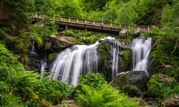 Entspannung PUR -5 Tage Bad Dürrheim & SOLEMAR Therme