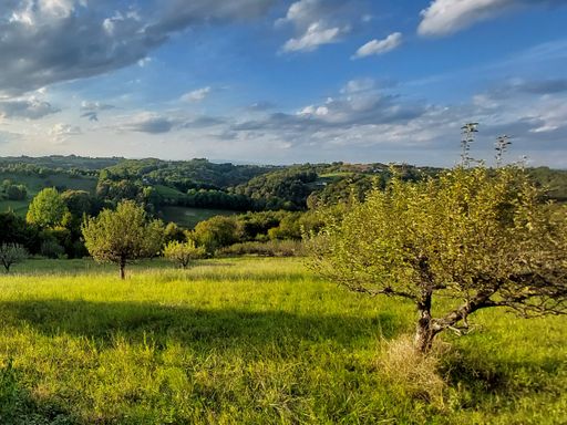 4 Tage nach Österreich ins idyllische Burgenland und im LandRastHaus übernachten