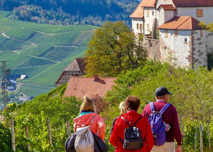 Familienhotels im Schwarzwald – Natur, Spaß & Urlaub bis 70 %