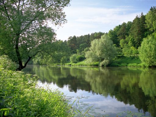 6 Tage Urlaub im Hotel Lellmann buchen und an der Mosel verwöhnen lassen
