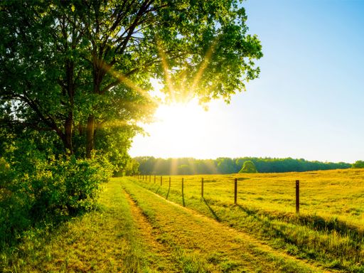 2 Tage Kurzurlaub in Bad Schönborn & im Palmenparadies in Sinsheim erholen