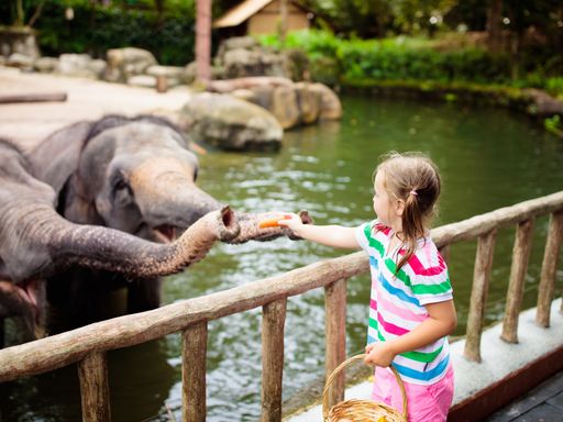 3 Tage den Erlebnis-Zoo Hannover entdecken und im Hotel Wyndham Hannover Atrium entspannen