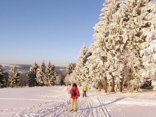 4 Tage romantischer Winterurlaub im Thüringer Wald in einem urigen Erdhaus