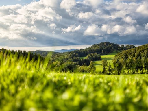 Bayerischer Wald für Individualisten / 7 Tage