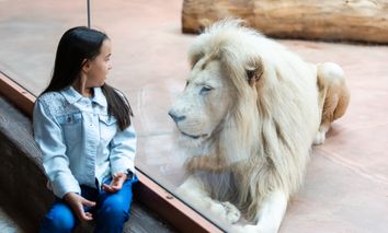 5 Tage Familienreise nach Dresden inkl. Zoobesuch & im 3* Hotel übernachten