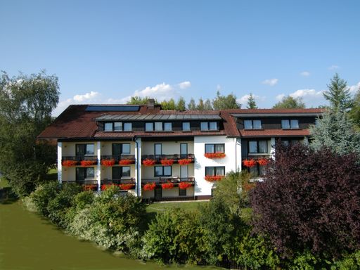 Erleben Sie halbstarke Bären und den Baumwipfelpfad