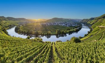3 Tage Kurzurlaub an der Mosel im 4* Eurostrand Resort Moseltal: Kultur, Kulinarische Vielfalt und ganz viel Natur
