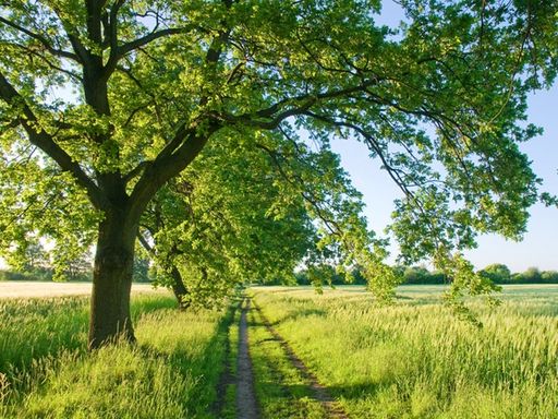 4 Tage im Schokoladenhotel Voss in Westerstede im Nordwestlichen Niedersachsen entspannen