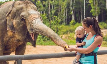 2 Tage Städtetrip in die weltoffene Stadt Köln inkl Zoobesuch & im 4* PhiLeRo Hotel