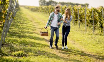 6 Tage mit Wellness, Freizeitspaß & Entspannung bei einer Kurzreise nach Bad Mergentheim im Taubertal erholen