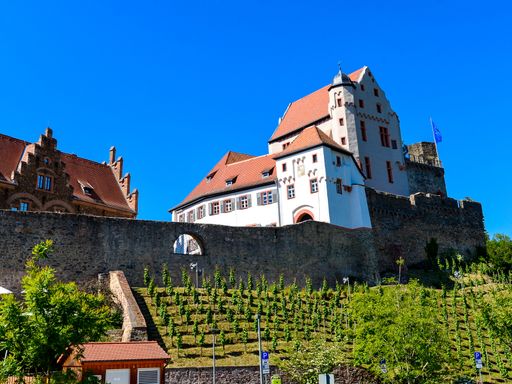 4 Tage Wochenendtrip nach Alzenau & die Wälder und Weinberge der Unterfranken genießen