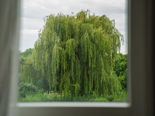 2 Tage Wohlfühlzeit im The Willow erleben