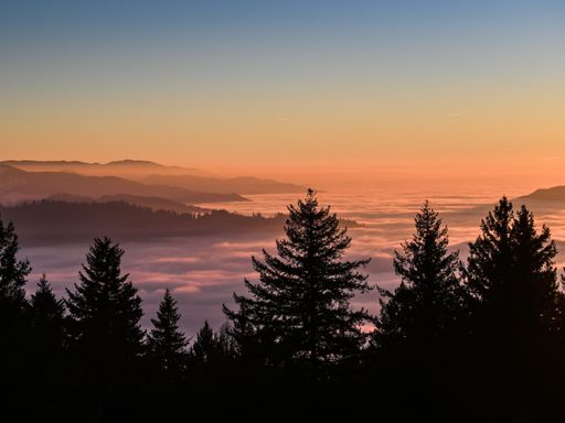 4 Tage Kurzreise in den Schwarzwald und in Staufen im Breisgau eine Auszeit genießen