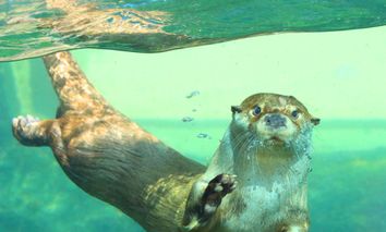 3 Tage Kurzurlaub in Leipzig für die ganze Familie inkl. Zooeintritt