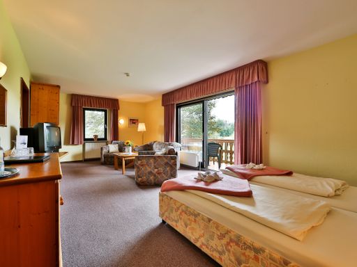 4 Tage Kurzreise nach Wolfshagen im Harz und im gemütlichen Hotel erholen