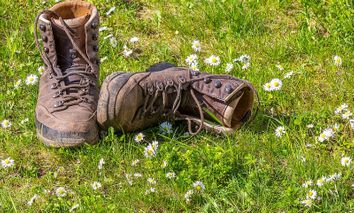 Das ist "Wanderbar" inmitten des Hunsrück