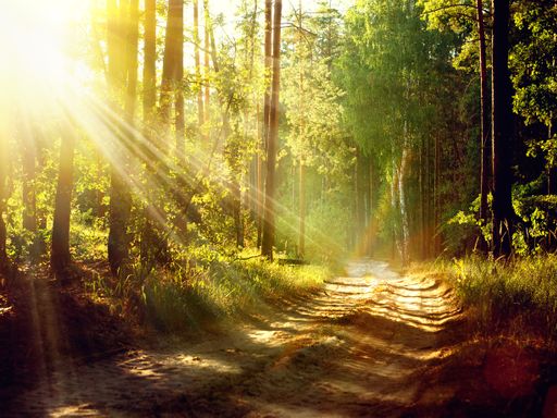 Wandern im Harz I 5 Tage