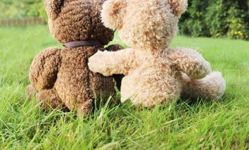 HP+: Kuscheln und Zeit zu zweit im Panorama Hotel