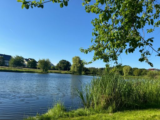 3 Tage bei einem Kurzurlaub die Altstadt von Kastellaun und den Hunsrück entdecken