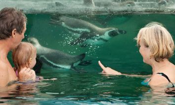 5 Familientage mit tierischem Abenteuer